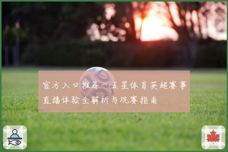 官方入口推荐 - 五星体育英超赛事直播体验全解析与观赛指南